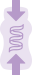 wypis